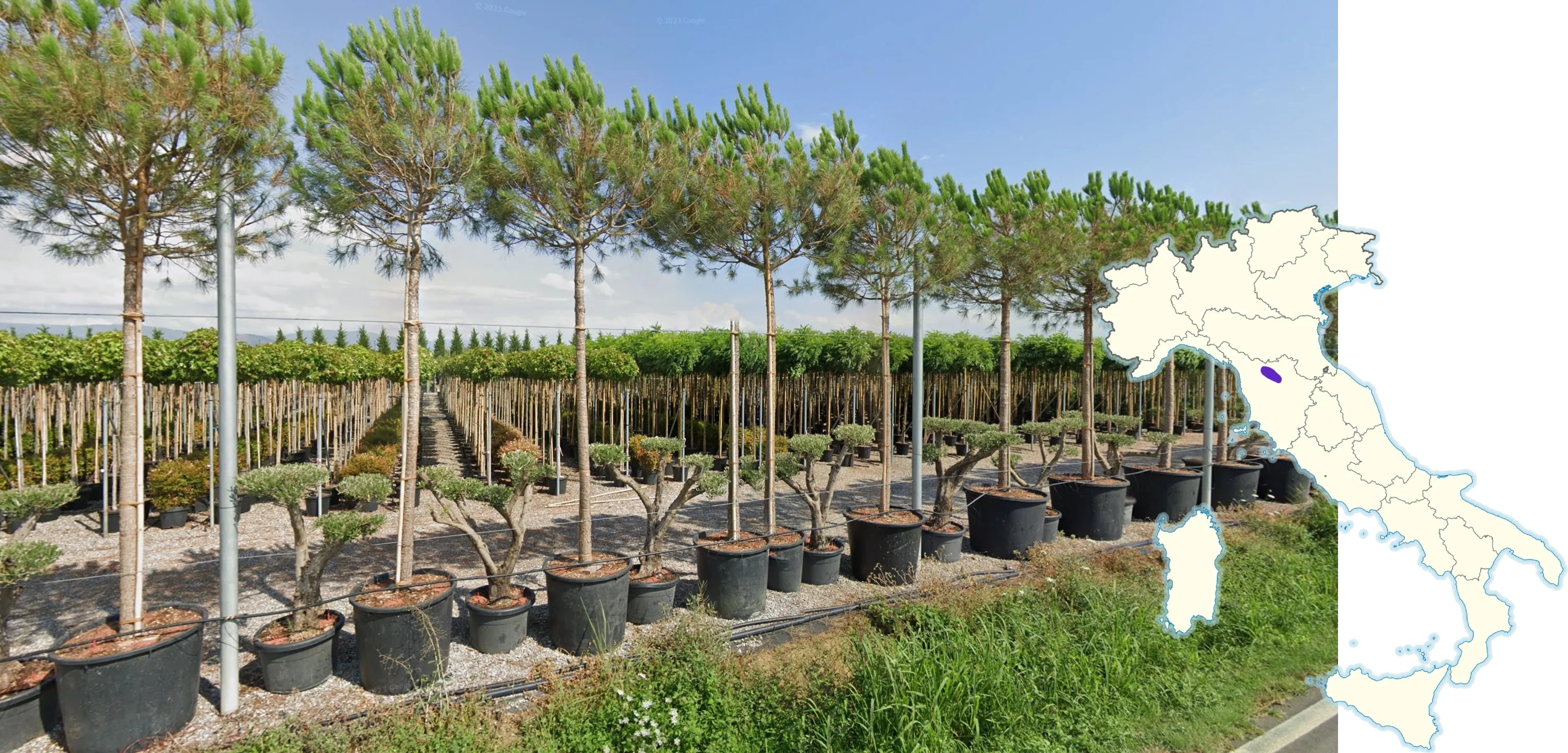 florence prato valley