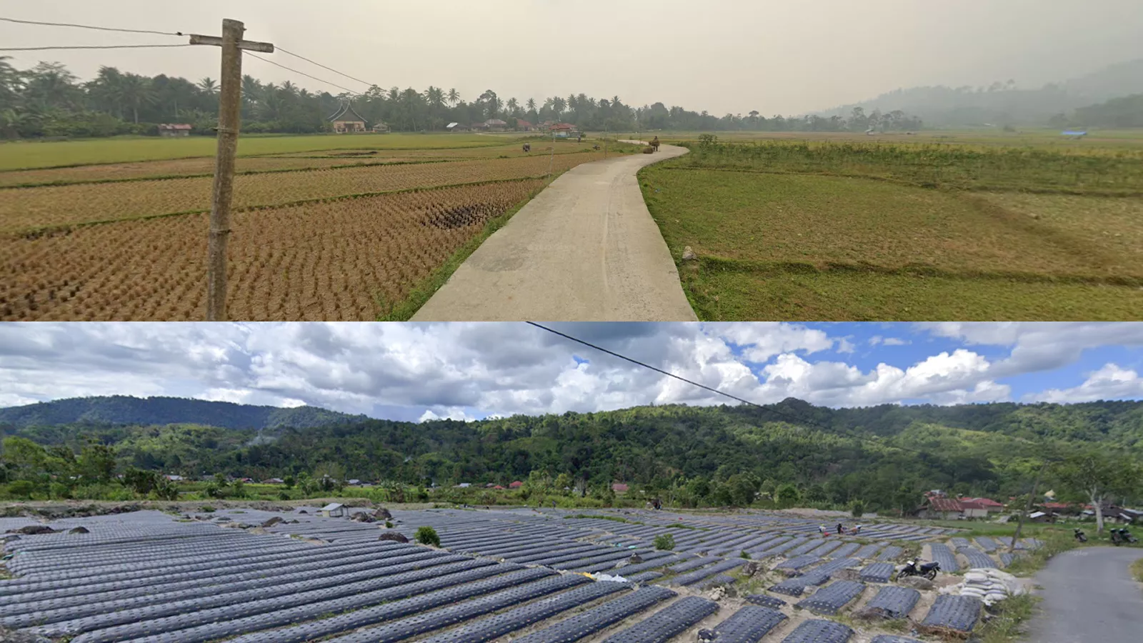 Mountain Basin Fields